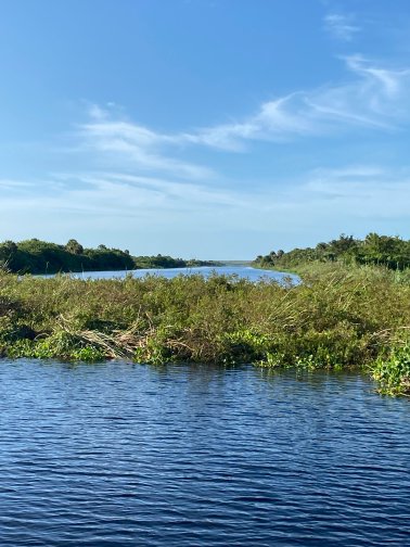 LAKE OKEECHOBEE – Mats of floating vegetation are blocking navigation. This blockage was sited in the rim canal south of old Sportsman’s Canal.
